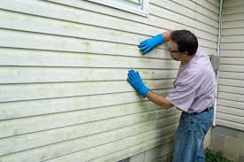 Best Siding Painting and Refinishing  in Clayton, NM